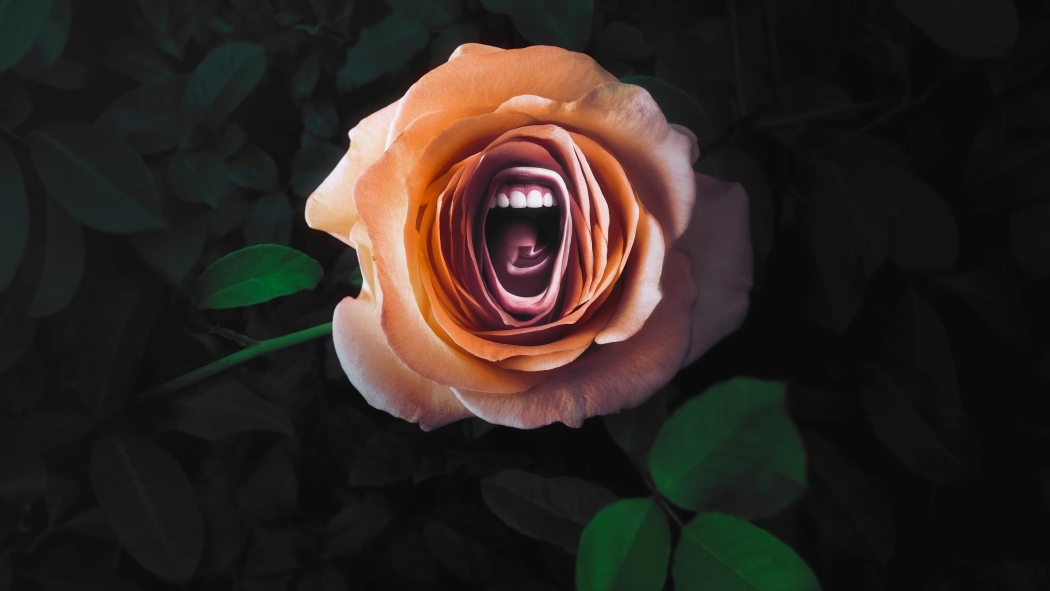 Roar 1. Sezon 7. Bölüm izle